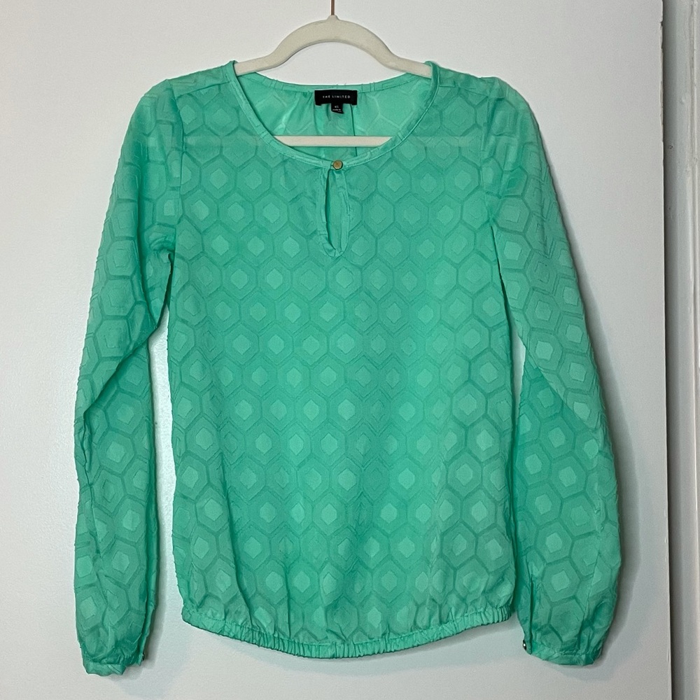 The Limited mint green long sleeve blouse